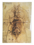 Buy Leonardo: Anatomy, C1510 at AllPosters.com