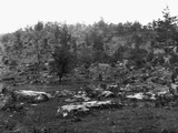 Little Round Top