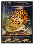Andersen: Little Mermaid
