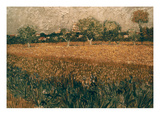 Van Gogh: Arles, 1888
