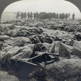 World War I: Russian Dead