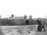 Civil War: Antietam, 1862