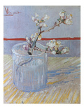 Buy Van Gogh: Branch, 1888 at AllPosters.com