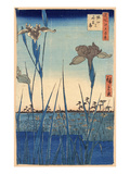 Buy Japan: Iris Garden, 1857 at AllPosters.com