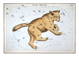 Astronomy: Ursa Major