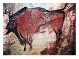 Cave Art