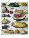 Buy Bustos: Still Life, 1874 at AllPosters.com