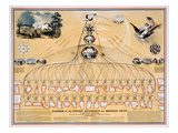 Diagram: American Union