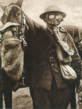 Wwi: Gas Warfare