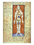 Buy Zodiacal Man: at AllPosters.com