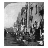 Italy: Naples, C1904