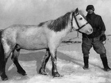 Edward Wilson (1872-1912)