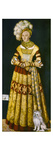 Katharina Von Mecklenburg