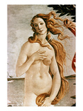 Buy Aphrodite/Venus at AllPosters.com