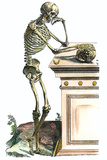 Buy Vesalius: Skeleton, 1543 at AllPosters.com