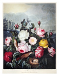 Buy Thornton: Roses at AllPosters.com