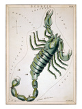 Constellation: Scorpio