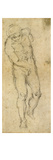 Michelangelo: Male Nude