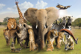 Wild World