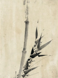 Buy Japan: Bamboo, C1830-1850 at AllPosters.com