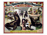 Circus Poster, C1898