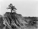 Buy Mississippi: Erosion, 1936 at AllPosters.com