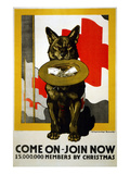 Red Cross Poster, 1917