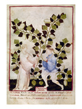 Buy Asparagus, 14Th Century at AllPosters.com