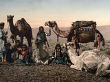 Middle East: Travelers