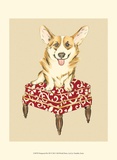 Pampered Pet III