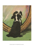 Terrier Trouble IV