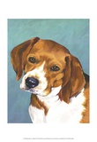 Dog Portrait, Beagle