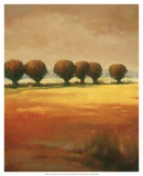 Buy Pollard Willow I at AllPosters.com
