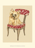 Pampered Pet II