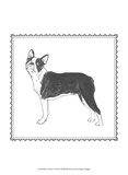 Best in Show I