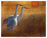 Walking Cranes