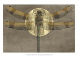 Buy Full Moon Serenade II at AllPosters.com