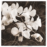 Orchid and Swirls II
