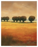 Buy Pollard Willow II at AllPosters.com