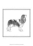 Best in Show IV