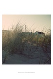Buy Summer of '76 I at AllPosters.com