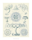 Buy Sophisticated Sealife III at AllPosters.com