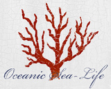 Buy Oceanic Sea-Life at AllPosters.com