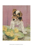 Terrier Trouble II