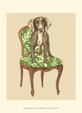 Pampered Pet IV