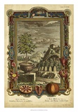 Buy Genesis Fruits IV at AllPosters.com
