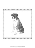 Best in Show XI