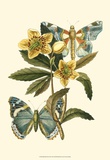 Butterfly Oasis III