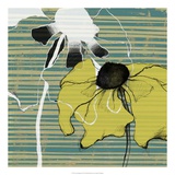 Buy Layered Poppies II at AllPosters.com
