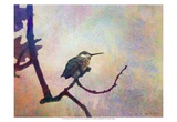Hummer Mist